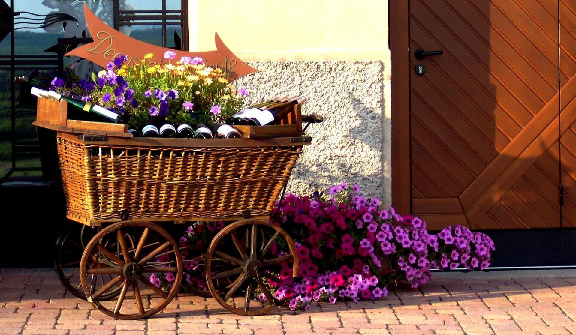 Jeannala Apartment Riquewihr Luaran gambar